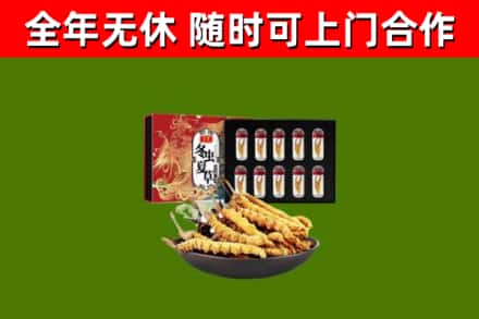 孟连县回收冬虫夏草价格