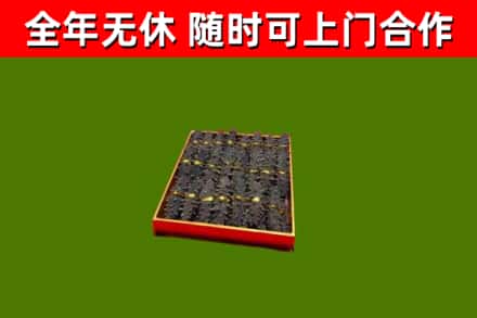 孟连县回收海参